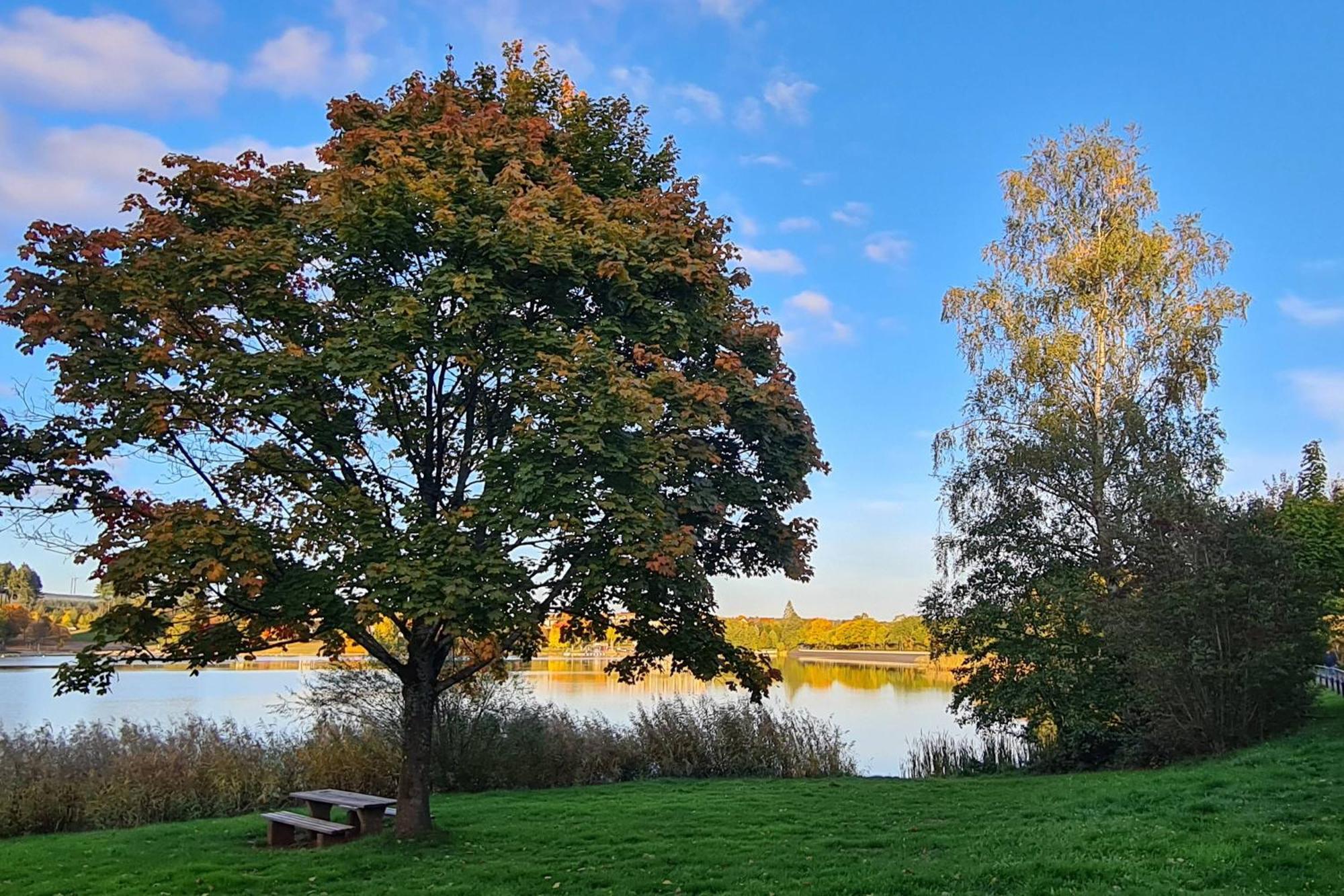 Draussen Am See Losheim Exterior photo